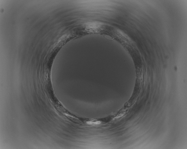 X0000066120603200603101237