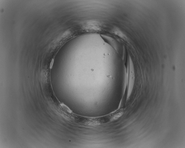 X0000066120604200603101237