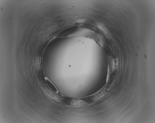 X0000066120605200603101237