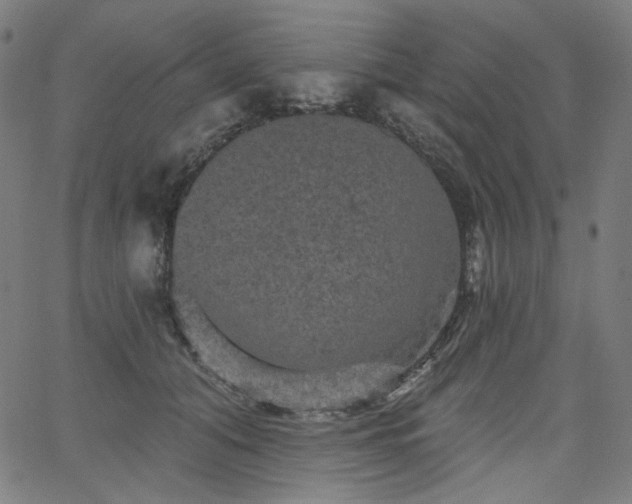 X0000066120608200603101237