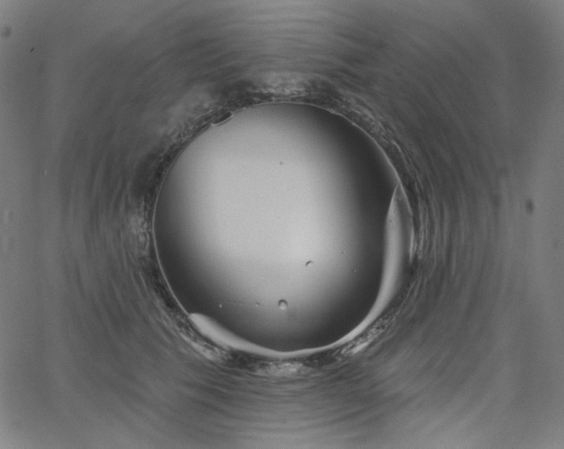 X0000066120609200603101237