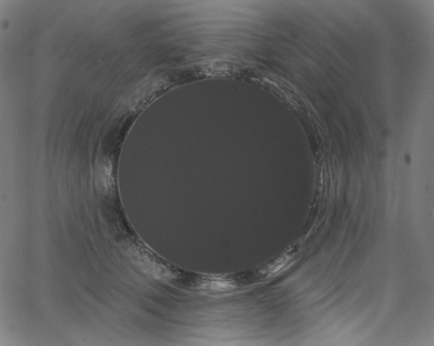 X0000066120610200603101237