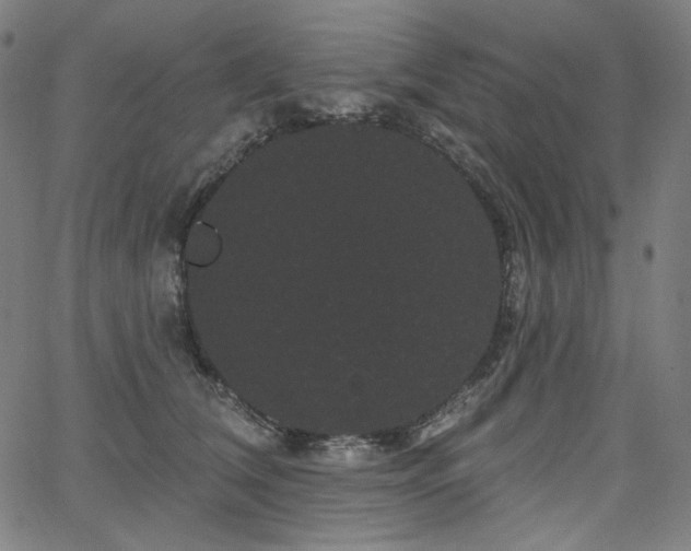 X0000066120612200603101237