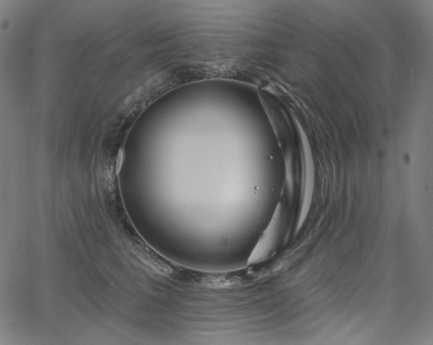 X0000066120613200603101237