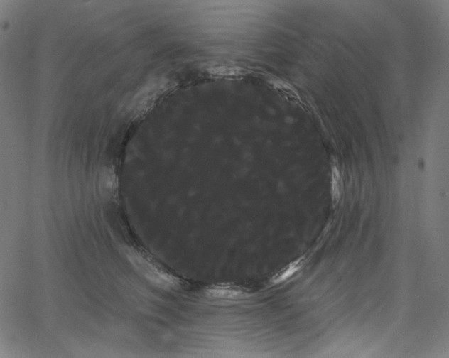 X0000066120614200603101237