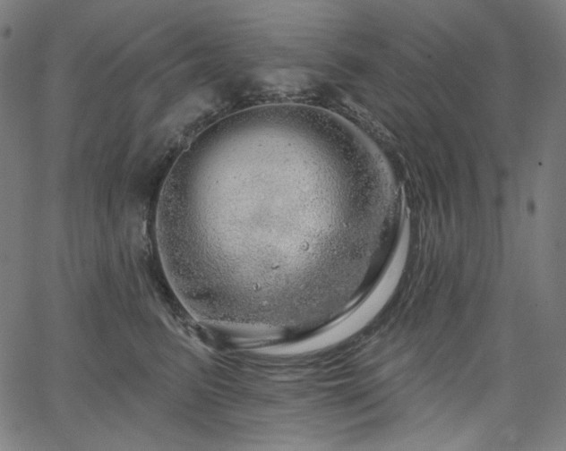 X0000066120615200603101237