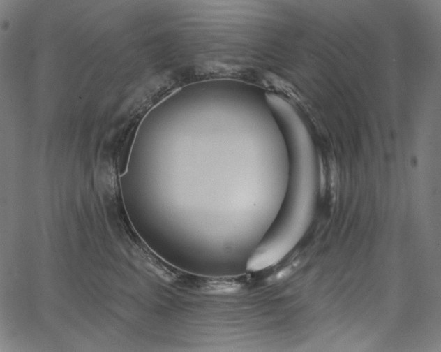 X0000066120617200603101237