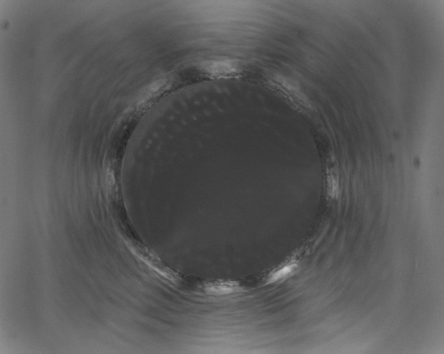 X0000066120618200603101237