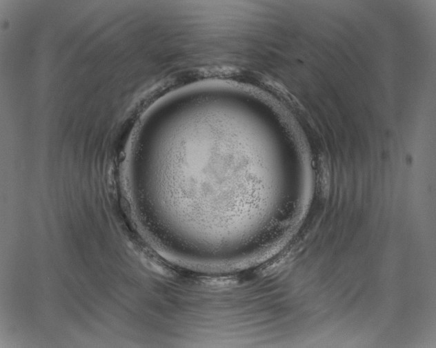 X0000066120619200603101237