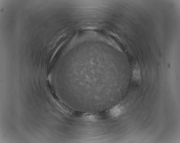 X0000066120620200603101237