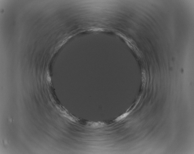 X0000066120621200603101237