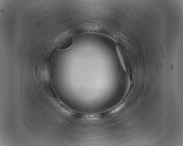 X0000066120622200603101237