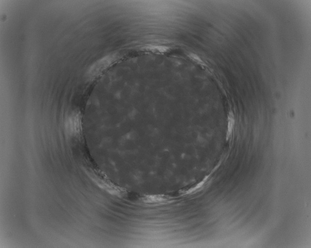 X0000066120623200603101237