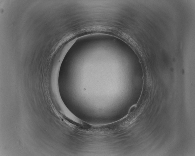 X0000066120625200603101236