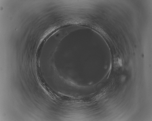 X0000066120626200603101236