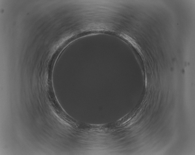 X0000066120627200603101236