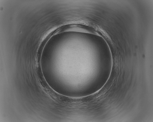 X0000066120628200603101236