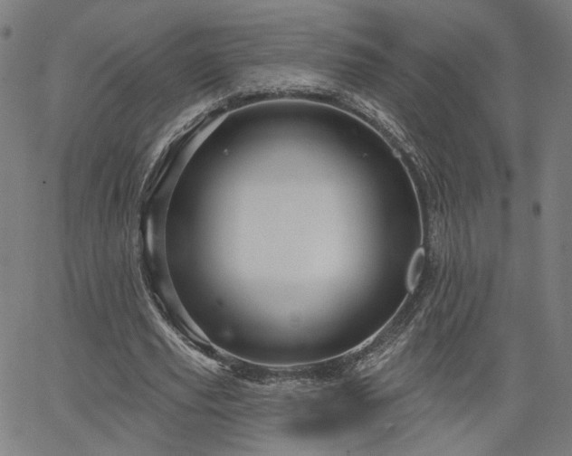 X0000066120629200603101236