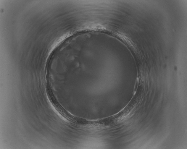 X0000066120630200603101236