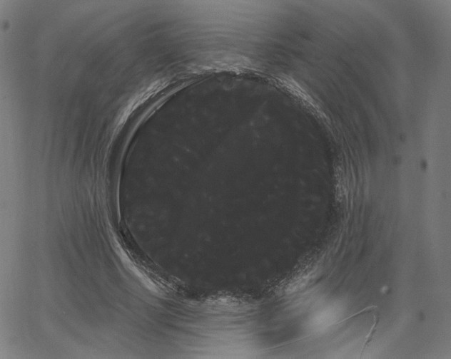 X0000066120634200603101236