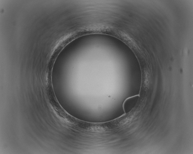 X0000066120636200603101236