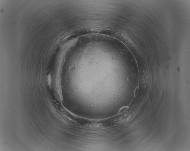 X0000066120639200603101236