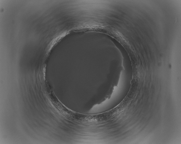 X0000066120640200603101236