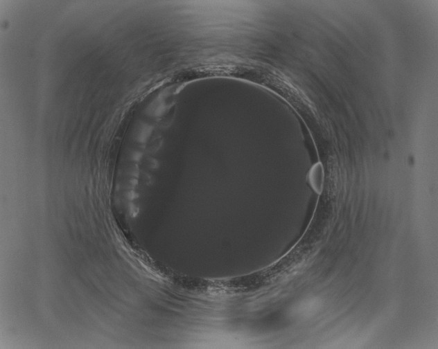 X0000066120641200603101236