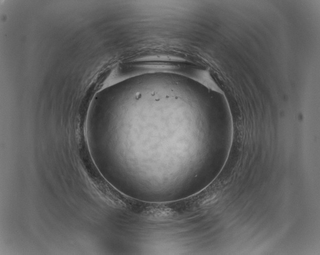 X0000066120642200603101236