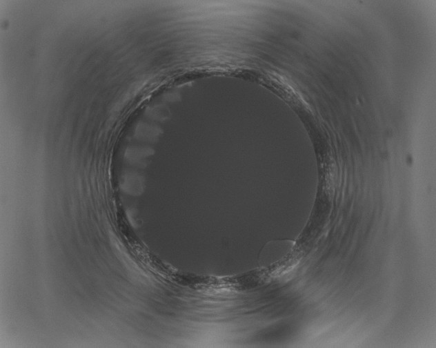 X0000066120643200603101236