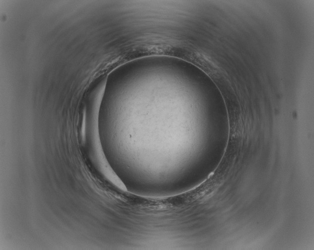 X0000066120646200603101236