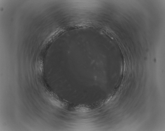 X0000066120648200603101236