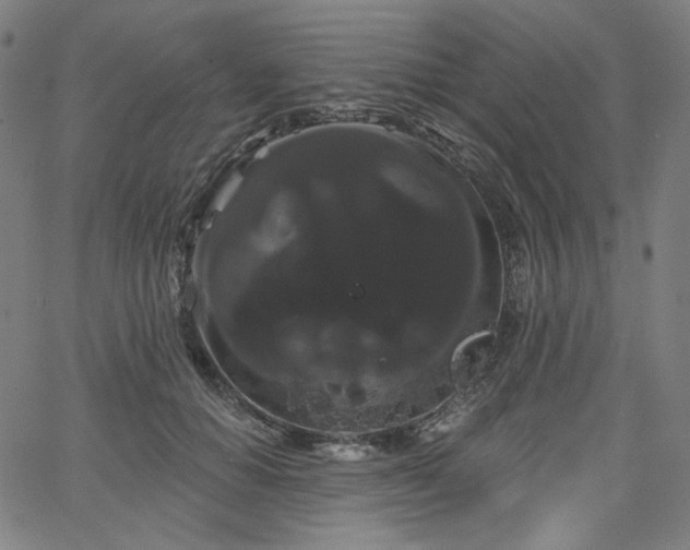 X0000066120654200603101237