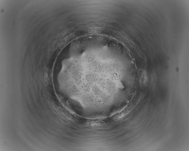 X0000066120655200603101237