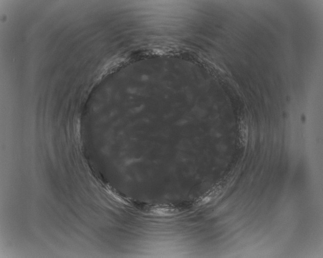 X0000066120657200603101237