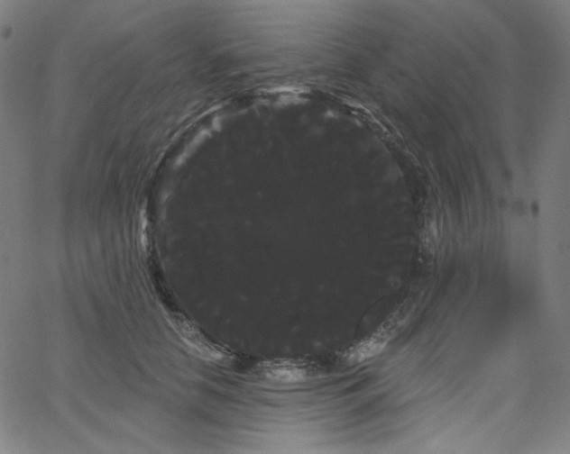 X0000066120658200603101237