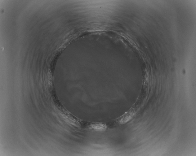 X0000066120659200603101237