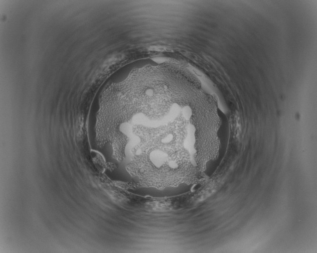 X0000066120660200603101237