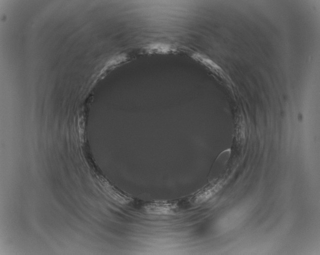 X0000066120661200603101237