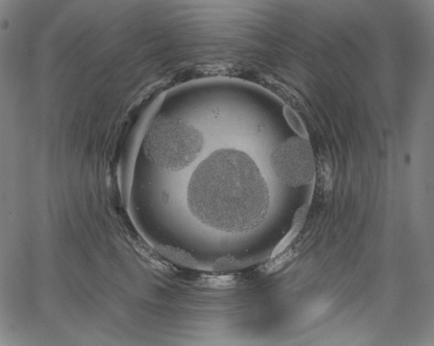 X0000066120665200603101237