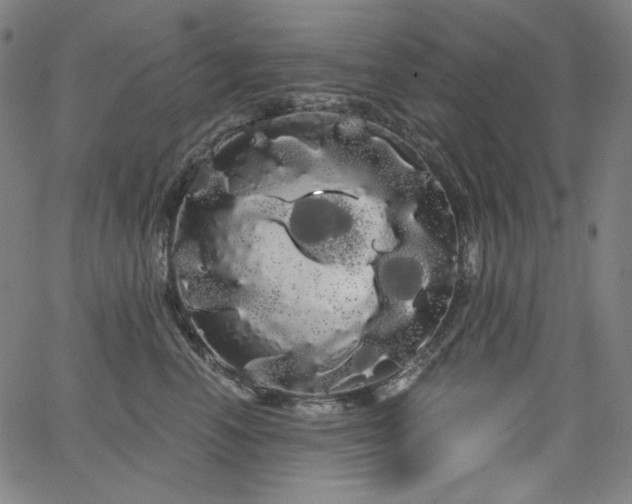 X0000066120666200603101237