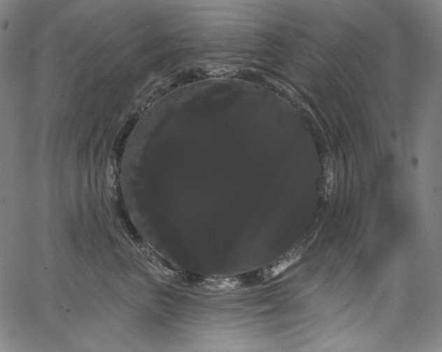 X0000066120667200603101237