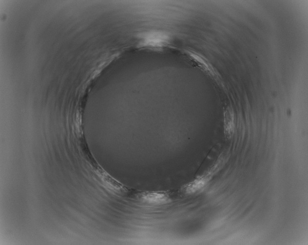 X0000066120669200603101237