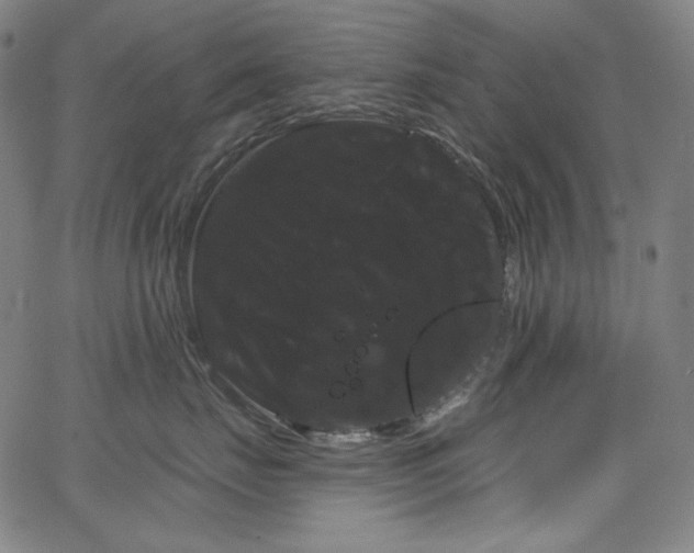 X0000066120671200603101237