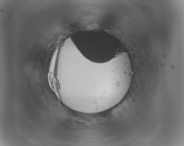 X0000066120672200603101237