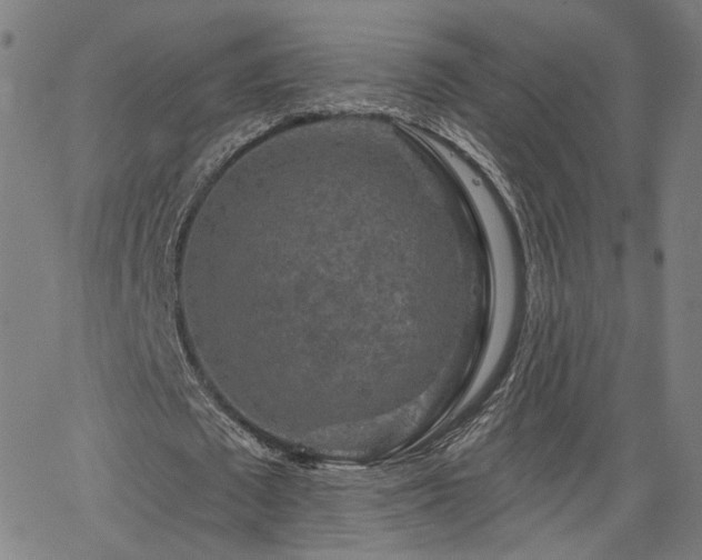 X0000066120673200603101236