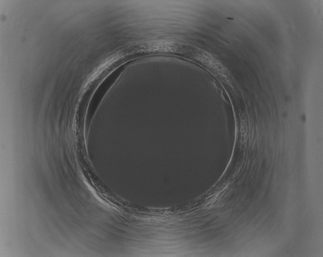 X0000066120674200603101236