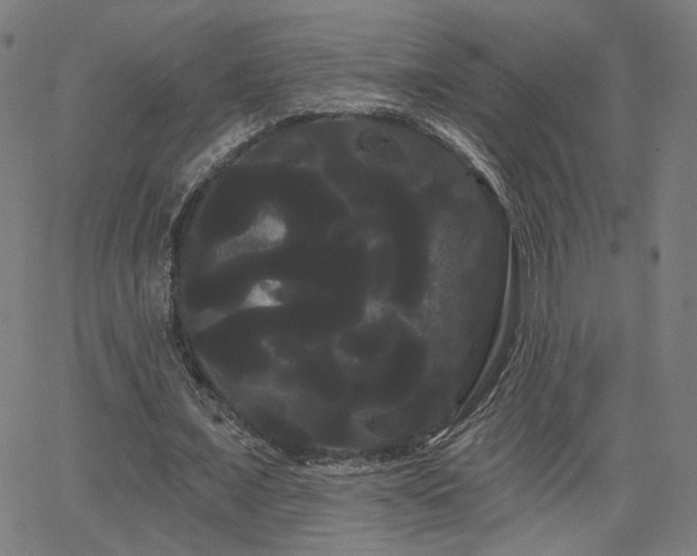 X0000066120675200603101236