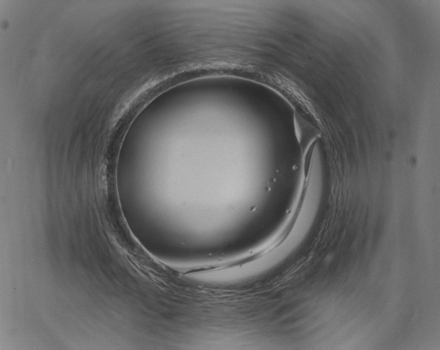 X0000066120676200603101236