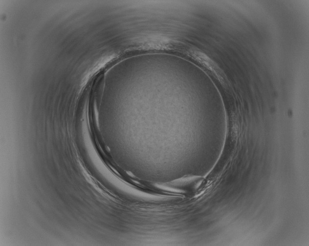 X0000066120677200603101236